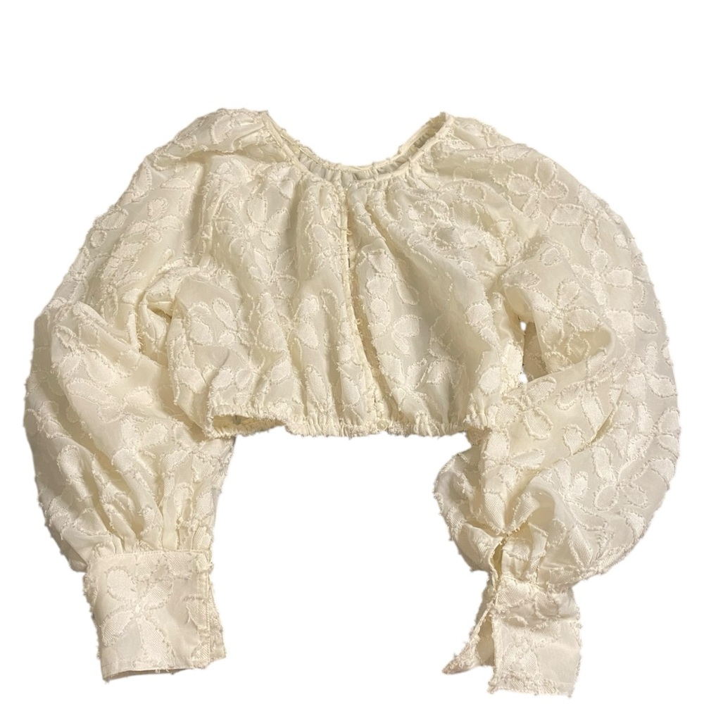 Cream Puff Sleeve Crop Blouse